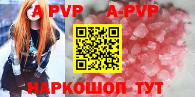 гашик Нальчик