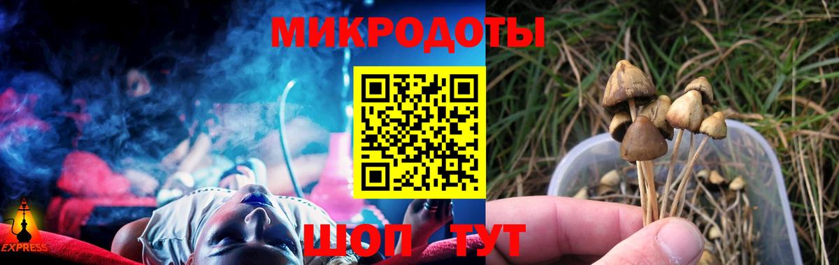 Псилоцибиновые грибы GOLDEN TEACHER  Вход с VPN  Феодосия 