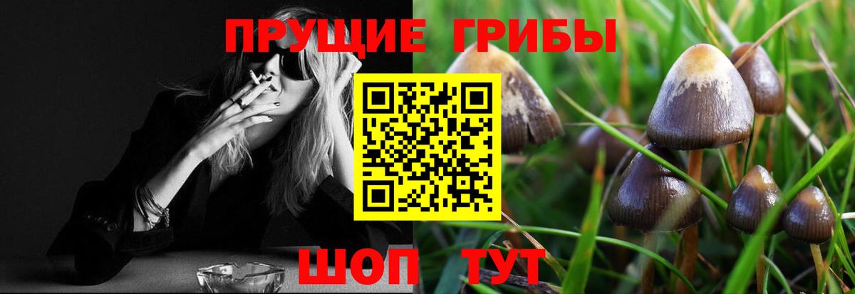 Псилоцибиновые грибы прущие грибы Феодосия